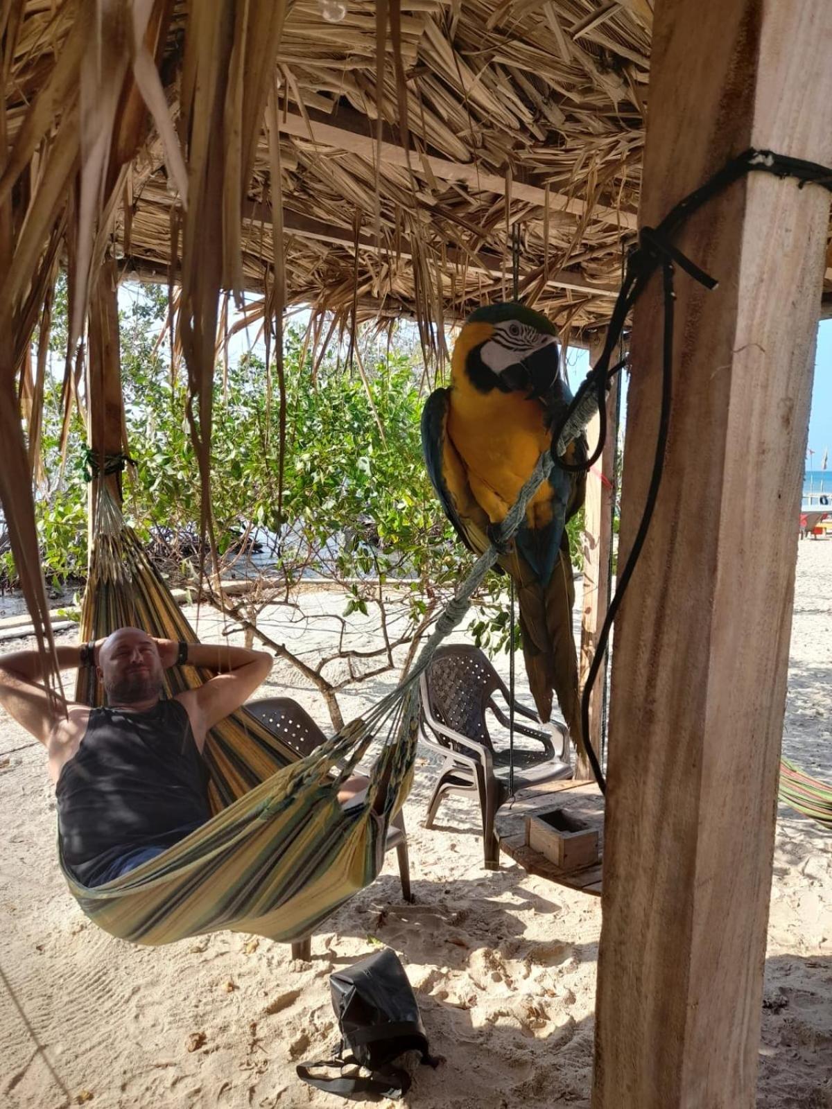 Santa Lova Eco-Hostel Isla Tintipan Tintipan Island Екстериор снимка